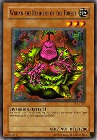 Wodan the Resident of the Forest