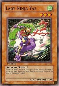 Lady Ninja Yae