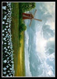 Magic: The Gathering Player's Card Sleeve - EURO Land 2 Plains (80-Pack)