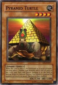 Pyramid Turtle