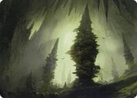 Forest (55/81) Art Card