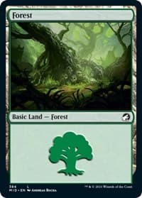 Forest (384)
