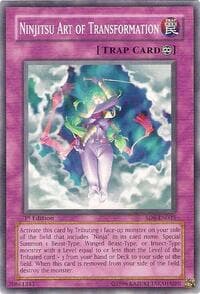 Ninjitsu Art of Transformation