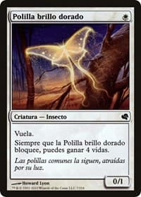 Goldenglow Moth (Spanish) - "Polilla brillo dorado"