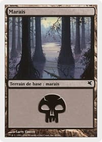 Swamp (French) - "Marais" (F60)