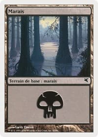 Swamp (French) - "Marais" (A60)
