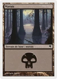 Swamp (French) - "Marais" (E47)