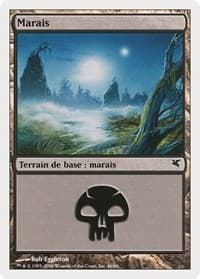 Swamp (French) - "Marais" (A46)