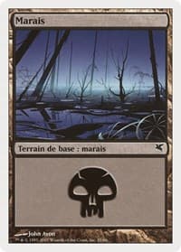 Swamp (French) - "Marais" (E35)