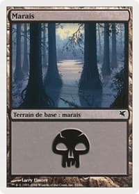 Swamp (French) - "Marais" (A33)
