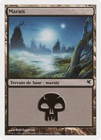 Swamp (French) - "Marais" (E24)