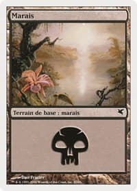 Swamp (French) - "Marais" (A20)