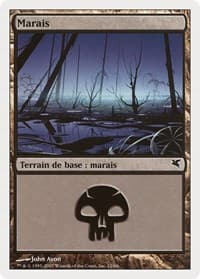 Swamp (French) - "Marais" (E12)