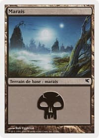 Swamp (French) - "Marais" (E11)