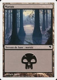 Swamp (French) - "Marais" (A11)