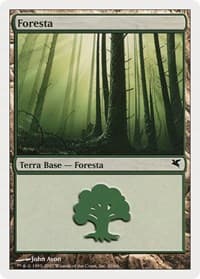 Forest (Italian) - "Foresta" (B20)