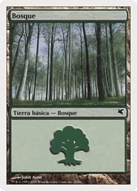 Forest (Spanish) - "Bosque" (J20)