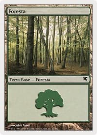Forest (Italian) - "Foresta" (B21)