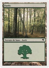 Forest (French) - "Foret" (B21)