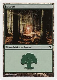 Forest (Spanish) - "Bosque" (J21)