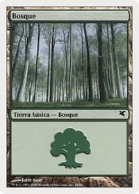Forest (Spanish) - "Bosque" (D24)
