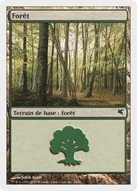 Forest (French) - "Foret" (B33)