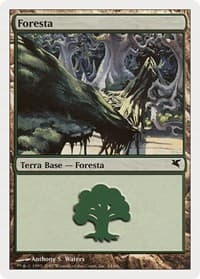 Forest (Italian) - "Foresta" (L24)