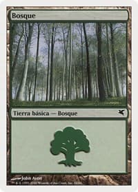 Forest (Spanish) - "Bosque" (B34)