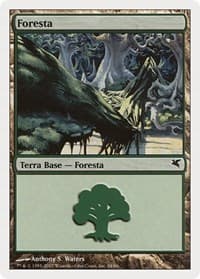 Forest (Italian) - "Foresta" (K34)