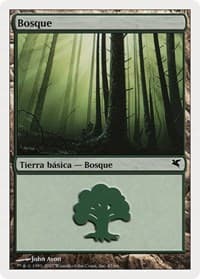 Forest (Spanish) - "Bosque" (I47)