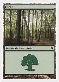Forest (French) - "Foret" (I48)