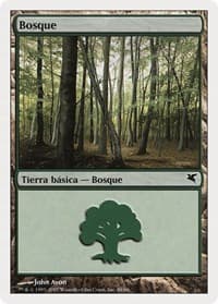 Forest (Spanish) - "Bosque" (I48)