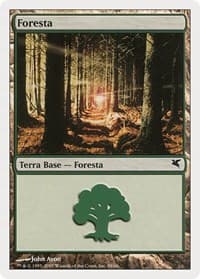 Forest (Italian) - "Foresta" (B58)