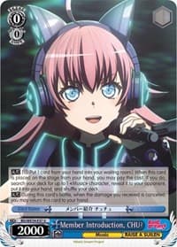 Member Introduction, CHU² (Parallel Foil)