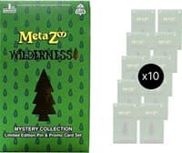 Pin Club Wilderness Mystery Collection Box Case