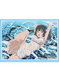 Bushiroad Sleeve Collection HG Vol. 3115: Is It Wrong to Try to Pick Up Girls in a Dungeon? - Hestia (75-Pack)