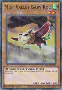 Mist Valley Baby Roc (Duel Terminal)