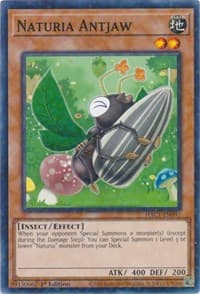 Naturia Antjaw (Duel Terminal)