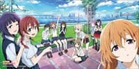 Bushiroad Rubber Mat Collection V2 Vol.328: Love Live! Nijigasaki High School Idol Club