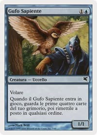 Sage Owl (Italian) - "Gufo Sapiente"