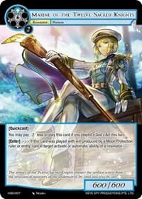 Marine of the Twelve Sacred Knights
