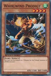 Whirlwind Prodigy