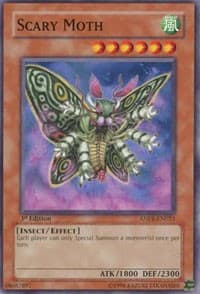 Scary Moth