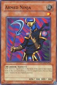 Armed Ninja