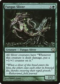 Fungus Sliver