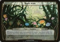 Eloren Wilds (Planechase)
