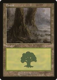 Forest (2003)