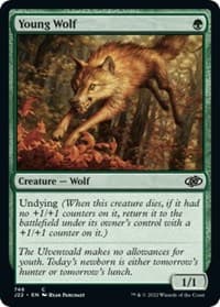 Young Wolf