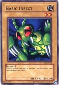 Basic Insect