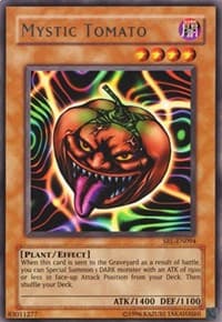 Mystic Tomato
